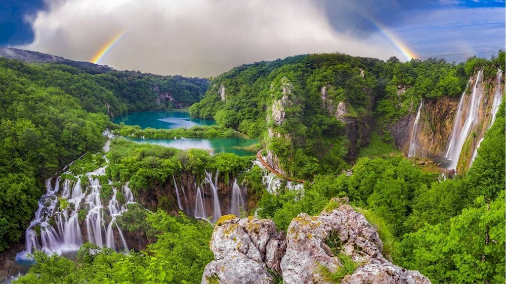 Home to many rare species of flora and fauna
